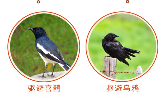 驅(qū)鳥(niǎo)香精包-鳥(niǎo)克-艾豐生物