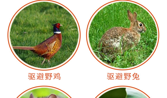 驅(qū)鳥(niǎo)香精包-鳥(niǎo)克-艾豐生物