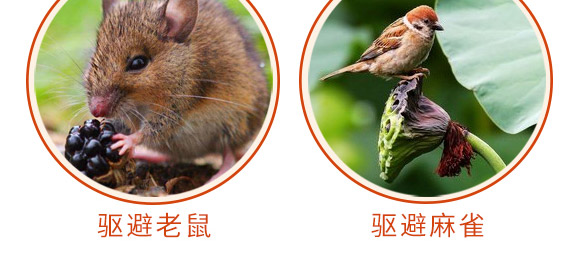 驅(qū)鳥(niǎo)香精包-鳥(niǎo)克-艾豐生物