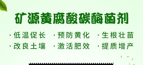 礦源黃腐酸碳酶菌劑-黃立翠-廣宇通