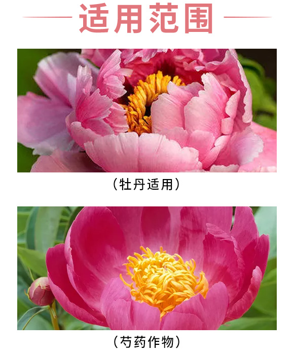 芍藥、牡丹芍藥科中藥材除草劑-富美