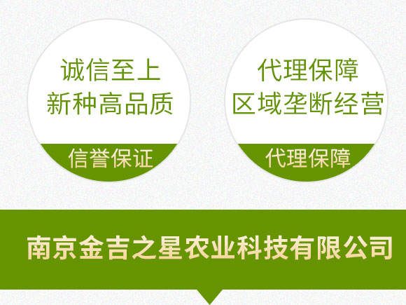 鍗椾含閲戝悏涔嬫槦鍐滀笟縐戞妧鏈夐檺鍏徃_09.jpg