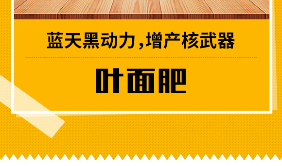 华博蓝天国际控股集团Q香港）U技研发有限公司3_03.jpg