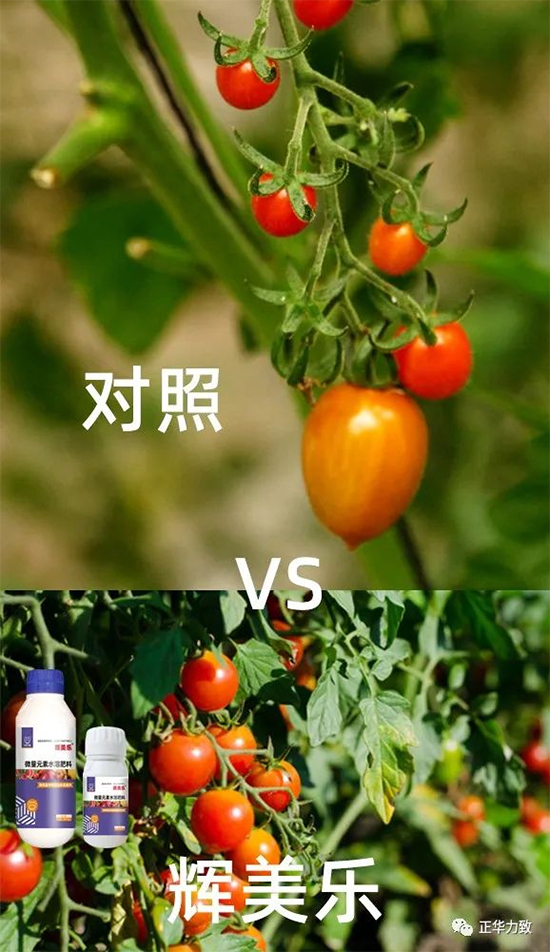 鏈爣棰?4.jpg