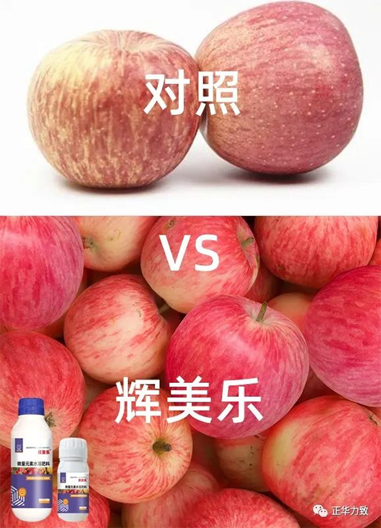 鏈爣棰?9.jpg