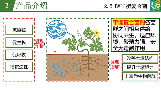 鑿屽惥緇嗙爺鍐滀笟綃嘷13.jpg