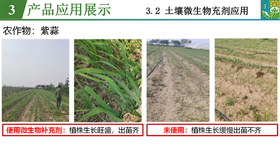 鑿屽惥緇嗙爺鍐滀笟綃嘷23.jpg