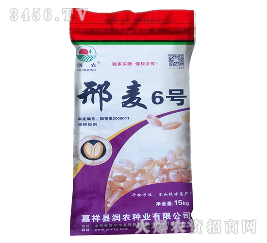 15kg邢麥6號(hào)-小麥種子-晨禾種業(yè)