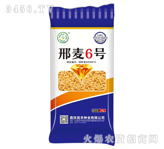 25kg邢麥6號-小麥種子-晨禾種業(yè)