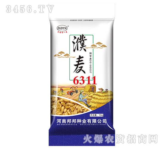 濮麥6311-小麥種子-邦邦種業(yè)