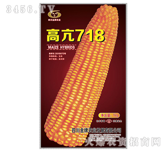 高亢718-玉米種子-金牌農(nóng)業(yè)