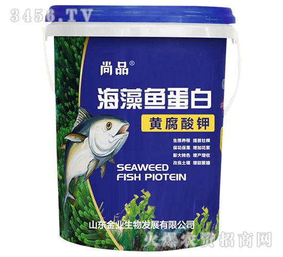 海藻魚蛋白-尚品-金業(yè)生物