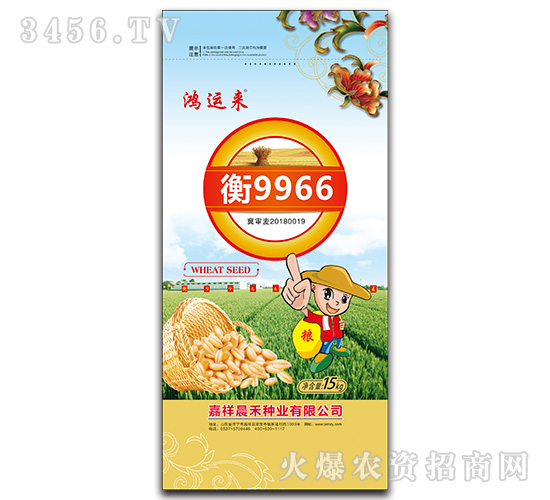 衡9966小麥種子-鴻運(yùn)來-晨禾種業(yè)