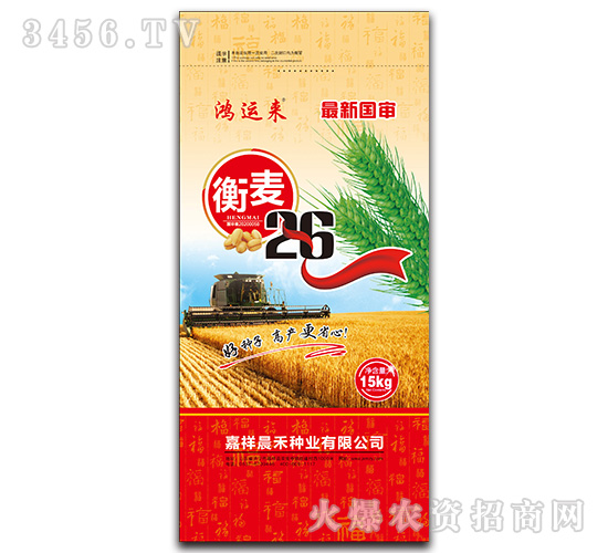 衡麥26小麥種子-鴻運來-晨禾種業(yè)