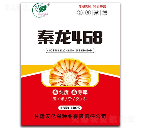 秦龍468-玉米種子-坤元種業(yè)