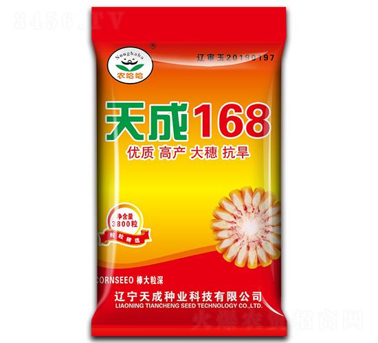 天成168-玉米種子-天成種業(yè)