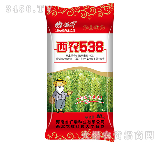 西農(nóng)538-航科-軒瑞種業(yè)