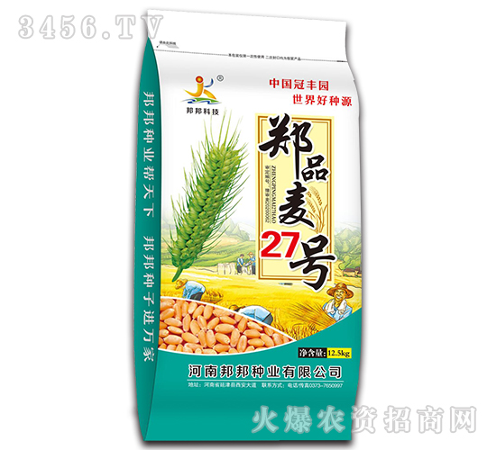 鄭品麥27號(hào)-小麥種子-邦邦種業(yè)