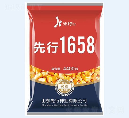 先行1658-玉米種子-金專環(huán)球農(nóng)業(yè)