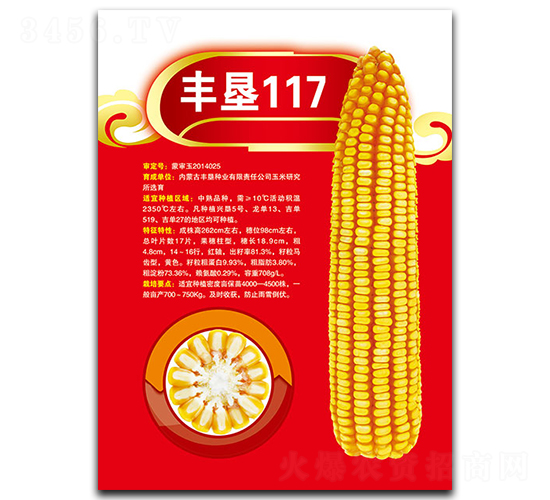 豐墾117-玉米種子-豐墾種業(yè)