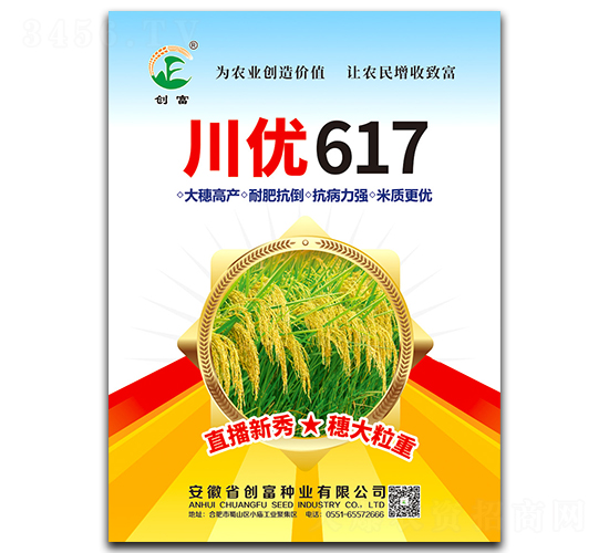 川優(yōu)617-水稻種子-創(chuàng)富種業(yè)