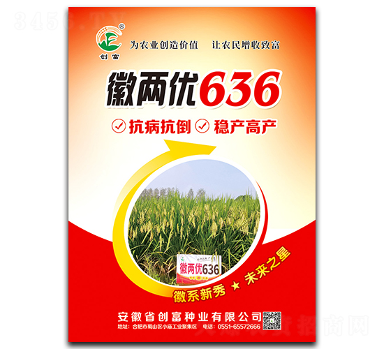 徽兩優(yōu)636-水稻種子-創(chuàng)富種業(yè)