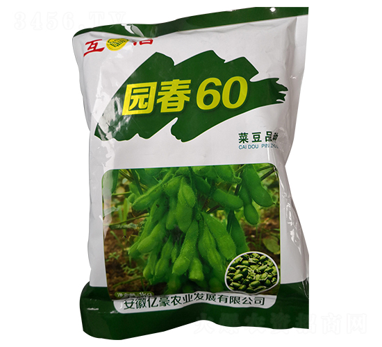 園春60-毛豆種子-億豪農(nóng)業(yè)