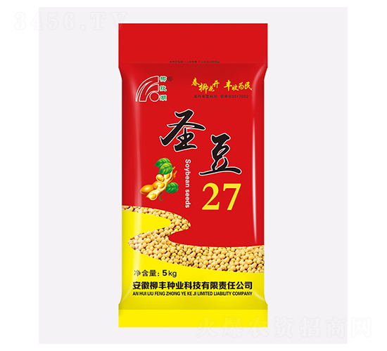 圣豆27-黃豆種子-柳豐種業(yè)