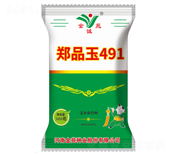 鄭品玉491-玉米雜交種-金苑種業(yè)