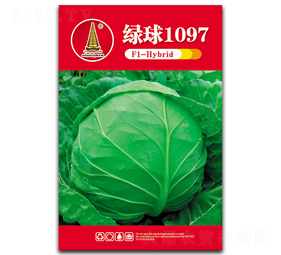 綠球1097-甘藍種子-中江農(nóng)業(yè)