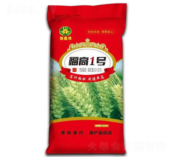 福高1號-小麥種子-福豐