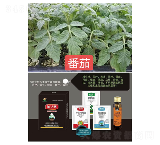 死苗爛根組合套餐（番茄專用）-迪法路-糧滿噸