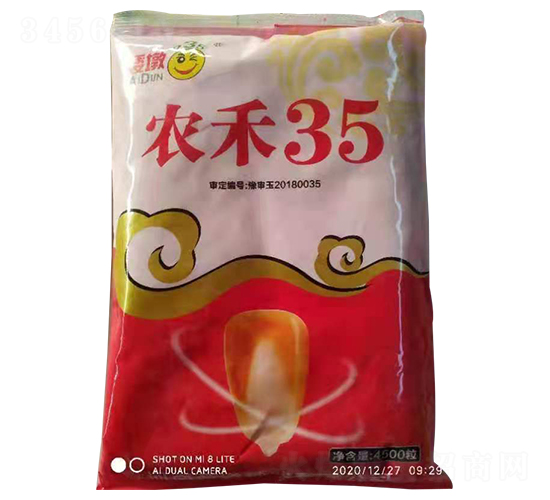 農禾35-玉米種子-農德利