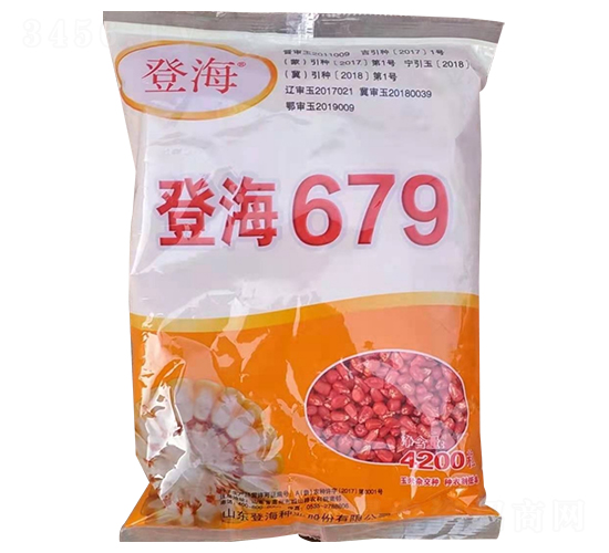 登海679-玉米種子-懇豐農(nóng)業(yè)