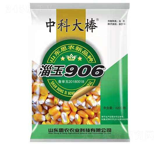 淄玉906-玉米種子-懇豐農(nóng)業(yè)