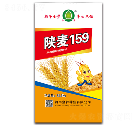 陜麥159-小麥種子-金夢種業(yè)