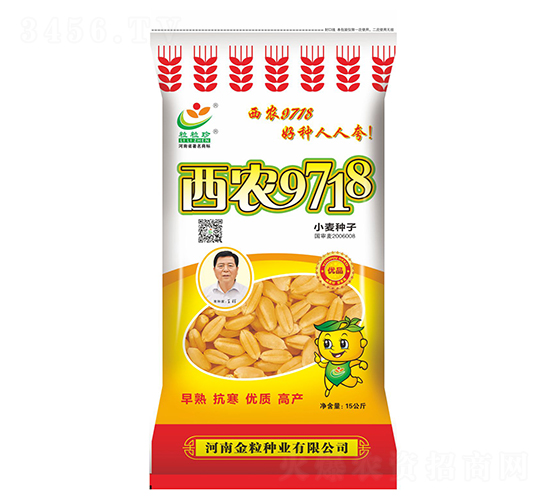 西農(nóng)9718（15公斤）-小麥種子-金粒種業(yè)