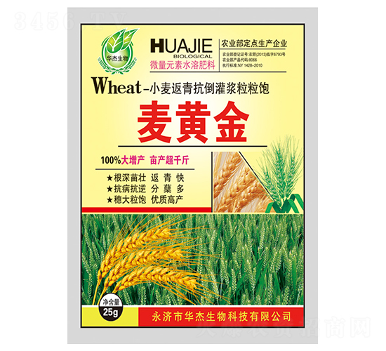 小麥返青抗倒灌漿粒粒飽-麥黃金-華杰生物