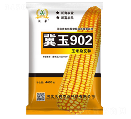 冀玉902-玉米種子-沃育農業(yè)