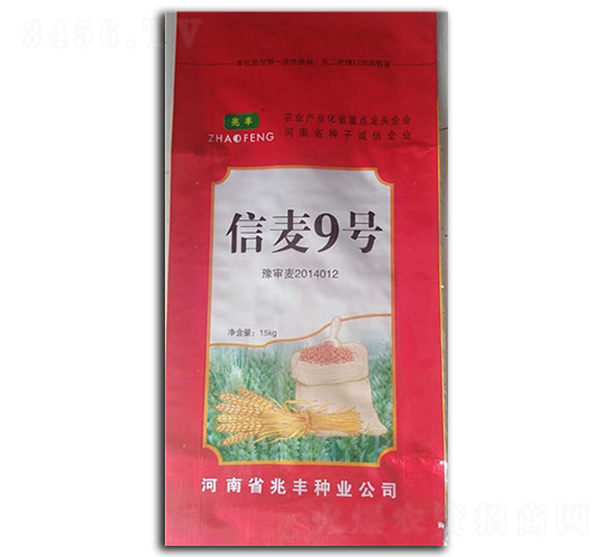 15kg信麥9號(hào)-小麥種子-兆豐