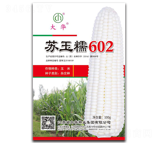 蘇玉糯602-玉米種子-大華種業(yè)