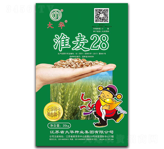 淮麥28-小麥種子-大華種業(yè)