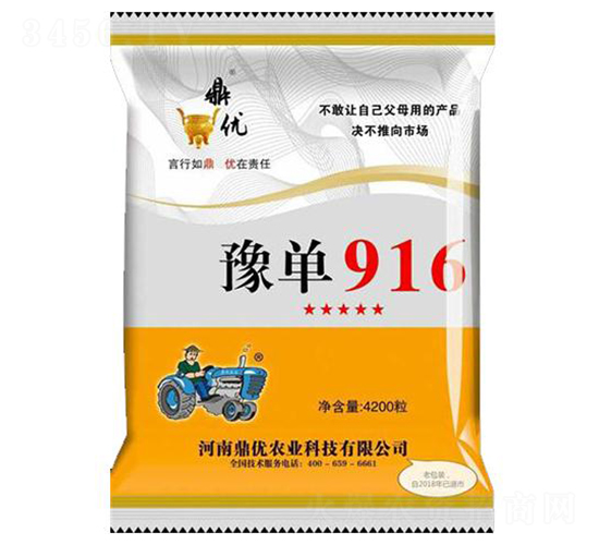 豫單916-玉米種子-鼎優(yōu)農(nóng)業(yè)