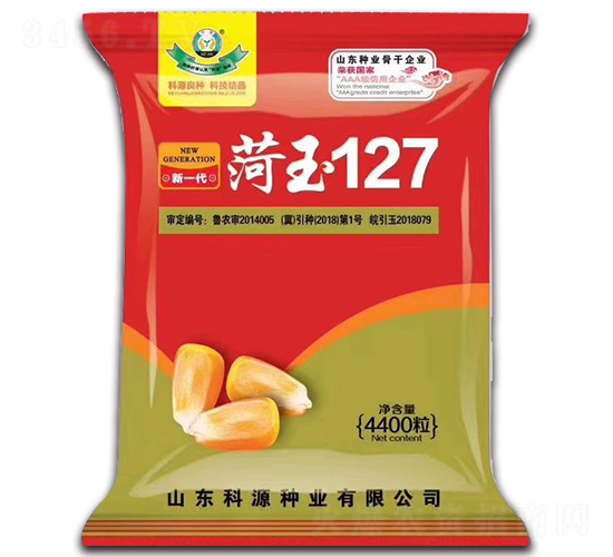 菏玉127-玉米種子-科源種業(yè)