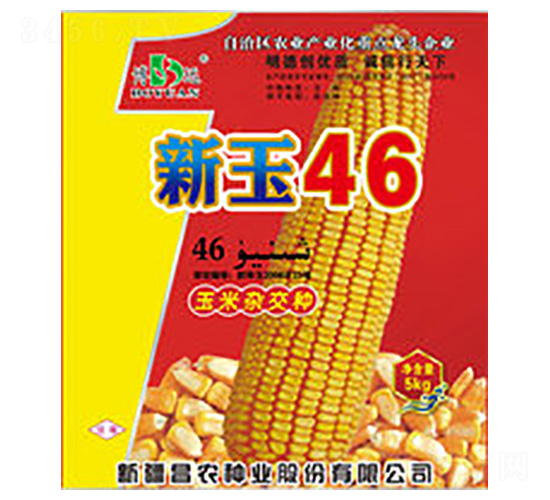 昌農(nóng)新玉46號-昌農(nóng)種業(yè)