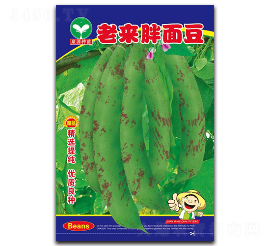 老來胖面豆-豆角種子-泉源