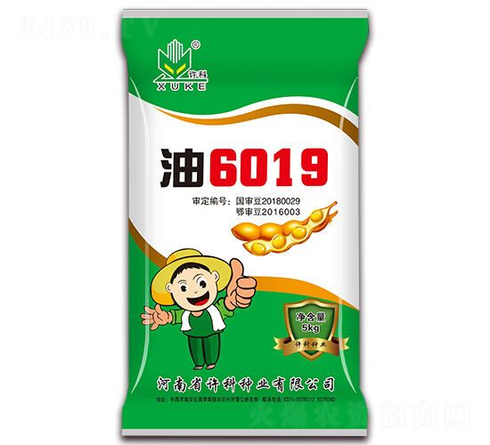 15kg油6019-大豆種子-許科種業(yè)