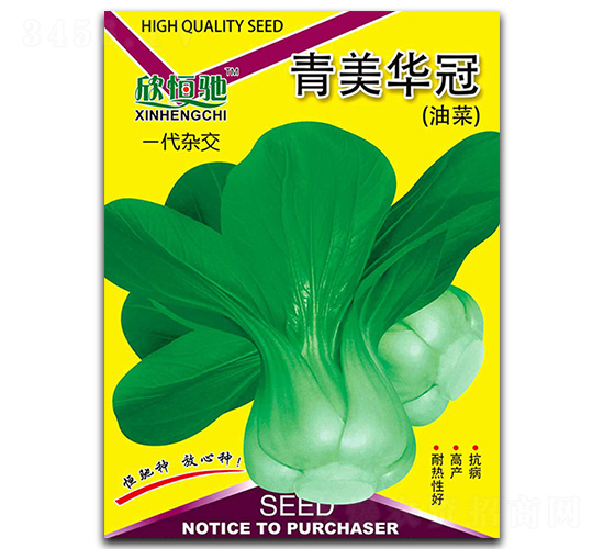 青美華冠-青菜種子-恒馳種業(yè)