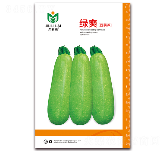 綠爽-菜用西葫蘆種子-金鵬種業(yè)