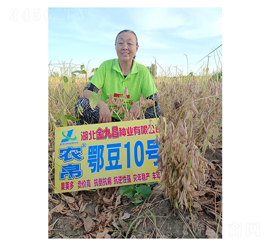 鄂豆10號-金九昌